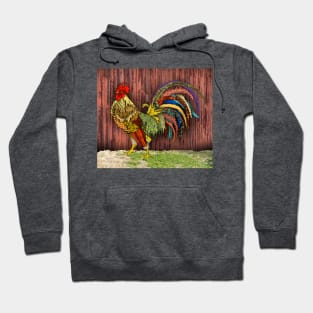 Rooster Hoodie